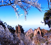 Huangshan pictures