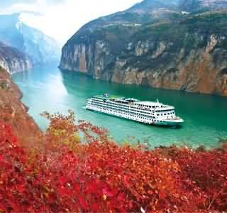 Red Leaves in Autumn