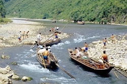 Shennong Stream